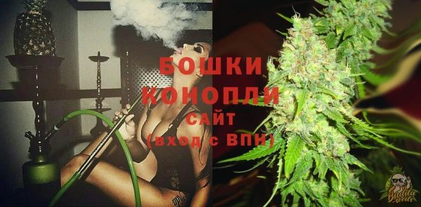 индика Россошь