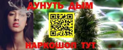 стаф Нальчик