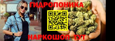 стаф Нальчик