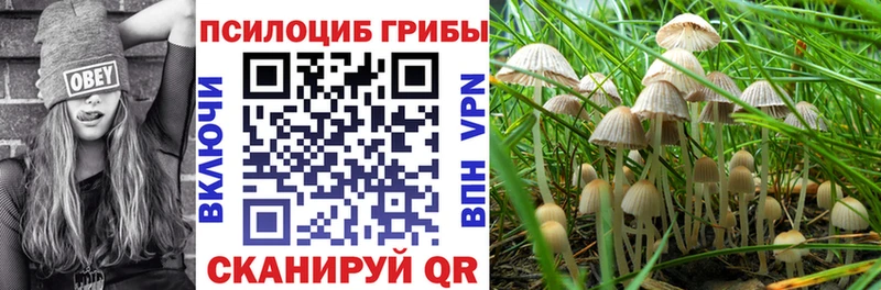Псилоцибиновые грибы ЛСД  Саянск 