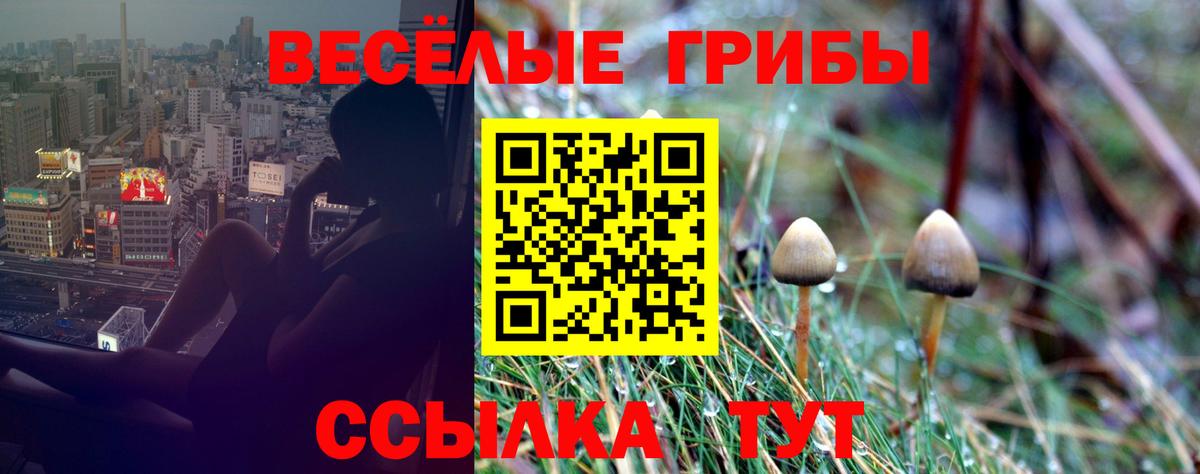Галлюциногенные грибы MAGIC MUSHROOMS Саянск